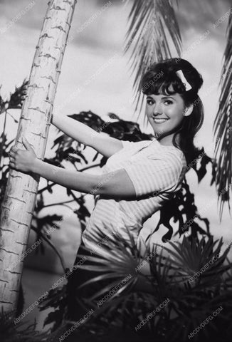 gorgeous Dawn Welles TV Gilligan's Island 8b20-12576