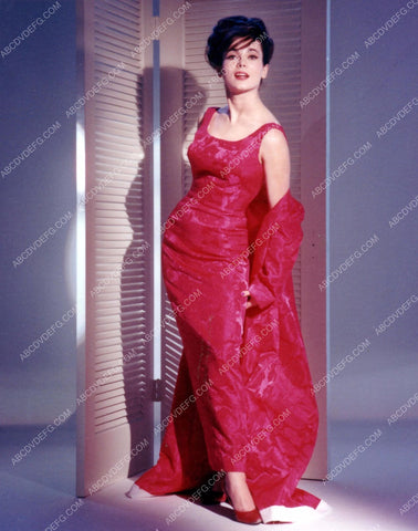 beautiful Israeli actress Gila Golan fashion portrait 8b20-12921