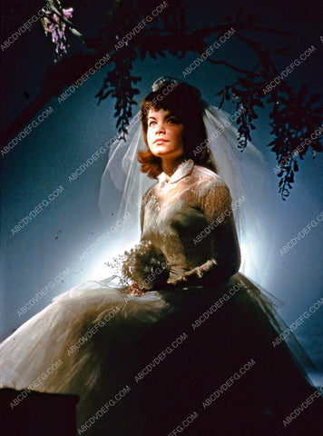 Annette Funicello in her wedding gown 8b20-13032