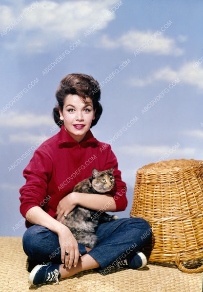 cute Annette Funicello poses with her cat 8b20-13036 – ABCDVDVIDEO