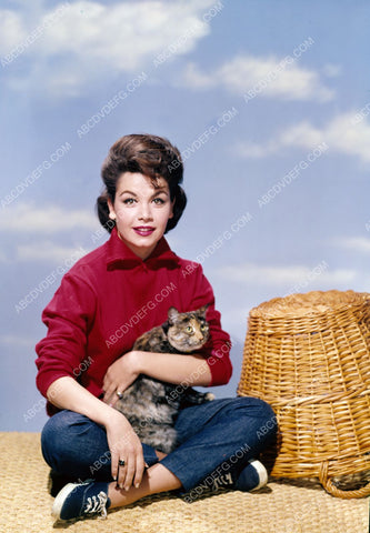 cute Annette Funicello poses with her cat 8b20-13036