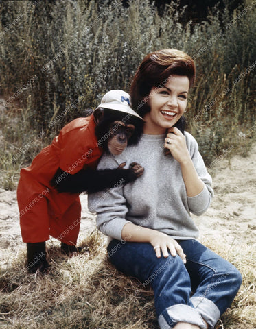 candid Annette Funicello film Monkey's Uncle 8b20-13080