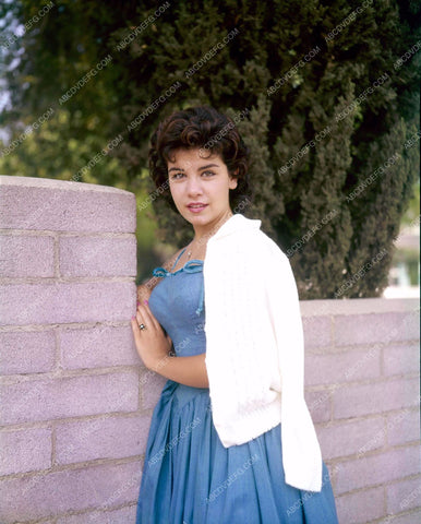 Annette Funicello outdoors portrait 8b20-13083