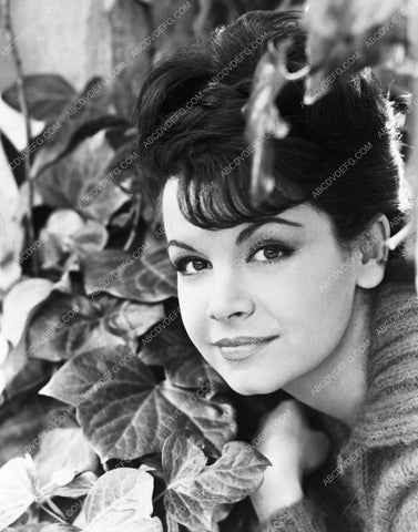 beautiful Annette Funicello in the garden 8b20-13092