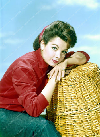 lovely Annette Funicello portrait 8b20-13102