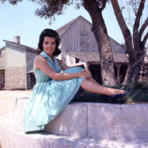 Annette Funicello sitting under a tree portrait 8b20-13114