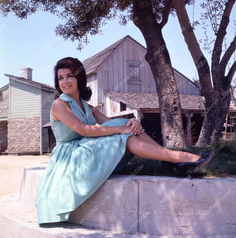 Annette Funicello sitting under a tree portrait 8b20-13115