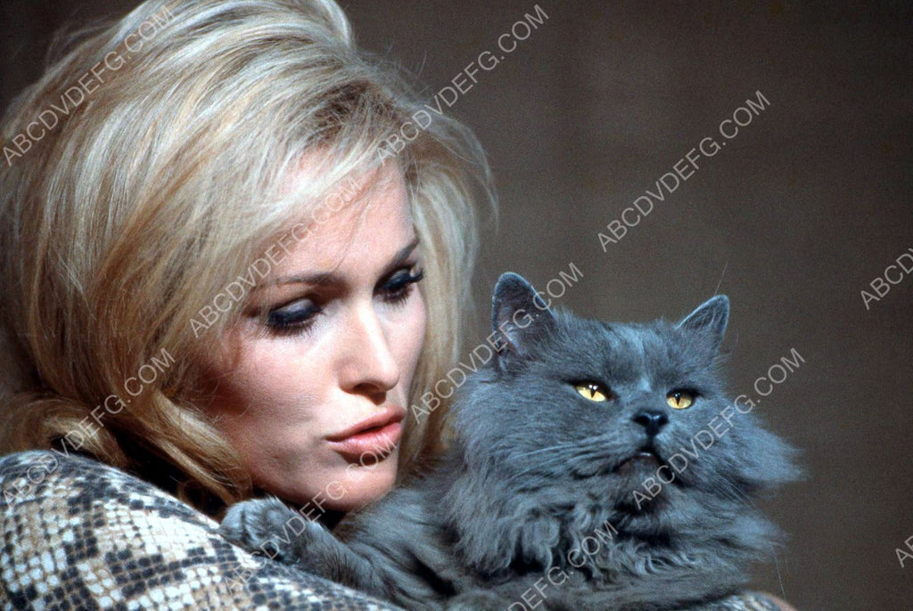 lovely Ursula Andress and her cat pic 8b20-13222 – ABCDVDVIDEO