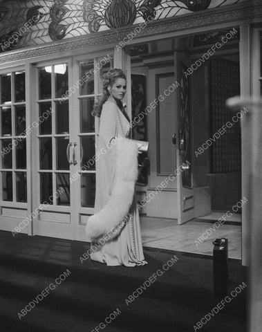 beautiful Ursula Andress pic 8b20-13245