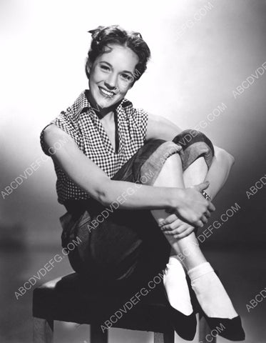 cute Julie Andrews portrait 8b20-13286