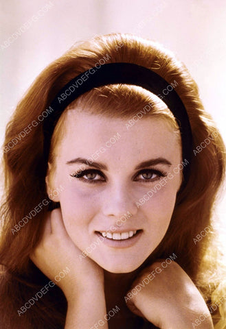 beautiful Ann-Margret portrait 8b20-13349