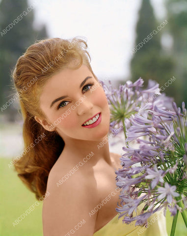 lovely Ann-Margret among the flowers portrait 8b20-13375
