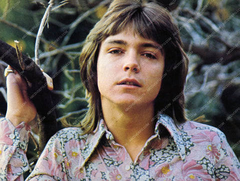 teen David Cassidy portrait 8b20-13862
