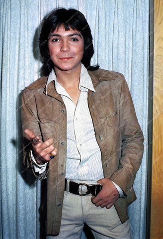 cool David Cassidy pic 8b20-13867