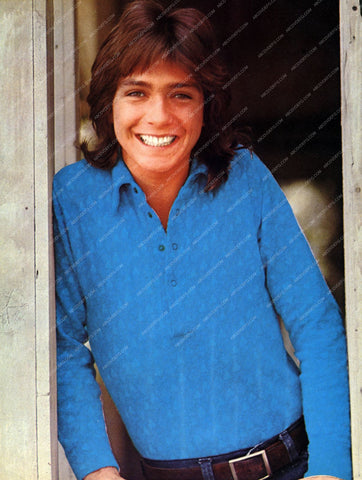 giggling David Cassidy 8b20-13871