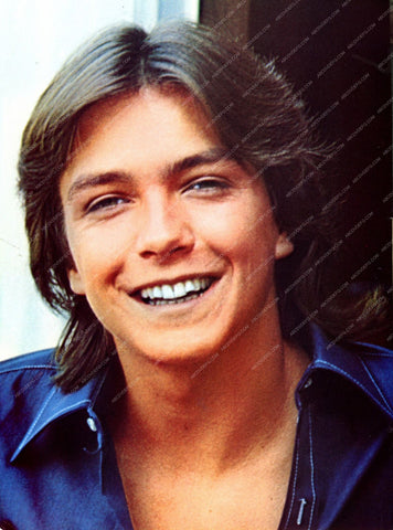 handsome David Cassidy pic 8b20-13875