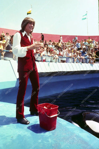 David Cassidy feeding Shamu at Sea World 8b20-13878