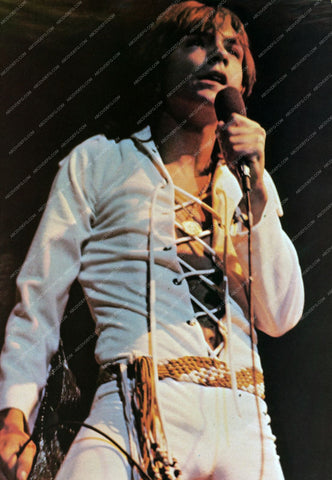 David Cassidy performing on stage 8b20-13889