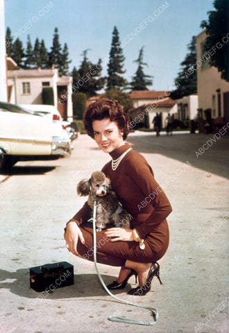 Natalie Wood and her dog 8b20-1417