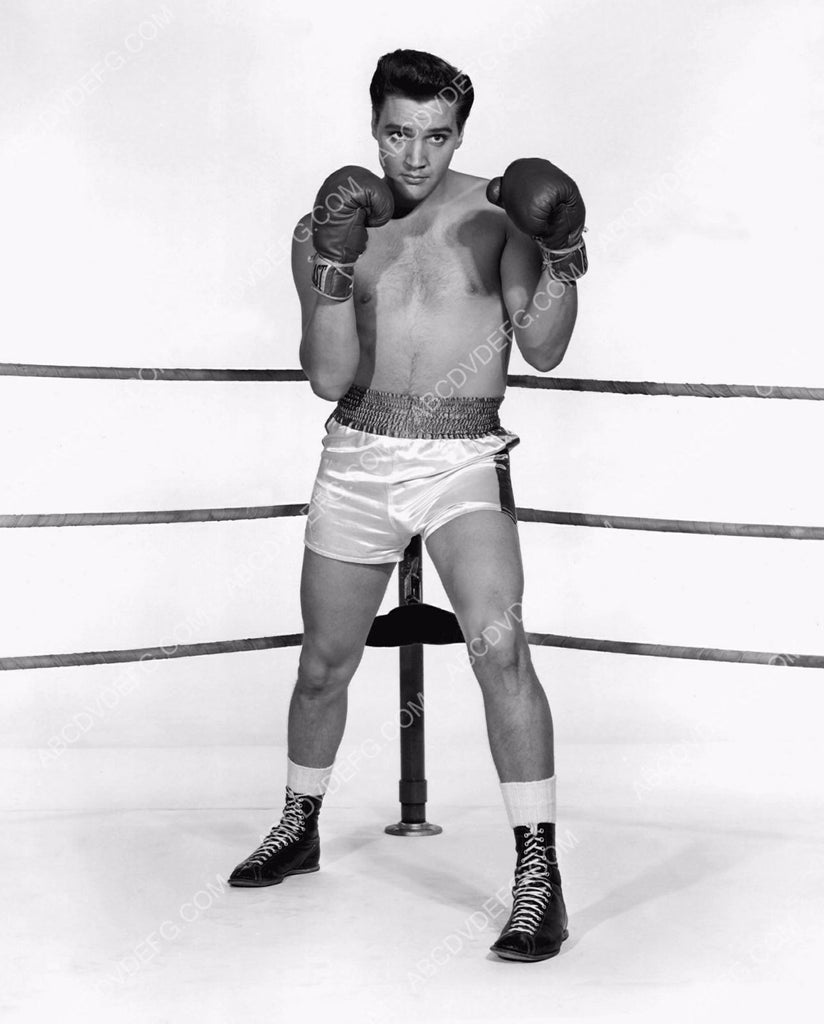 Boxing Robe Elvis Elvis Presley in boxing gloves and trunks 8b20-14545 – ABCDVDVIDEO