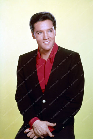 handsome Elvis Presley portrait 8b20-14585