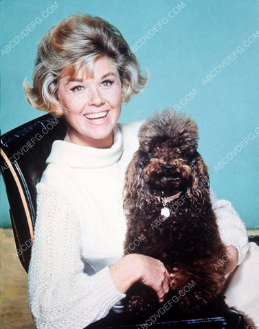 Doris Day posing with her poodle dog 8b20-14613