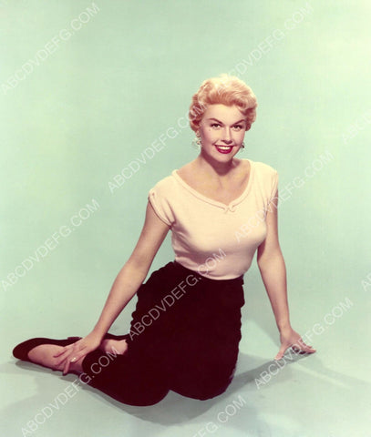cool Doris Day pic 8b20-14632