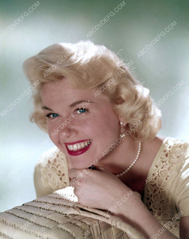 great Doris Day portrait 8b20-14649