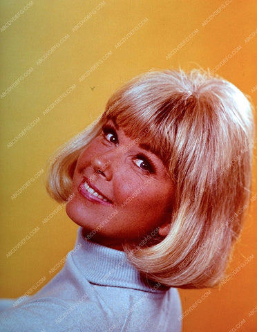 Doris Day portrait 8b20-14651