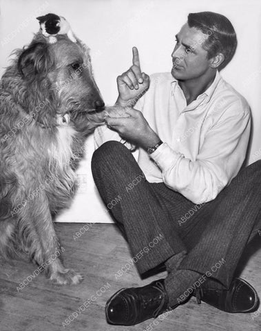 Cary Grant playing with his dog and cat 8b20-14734