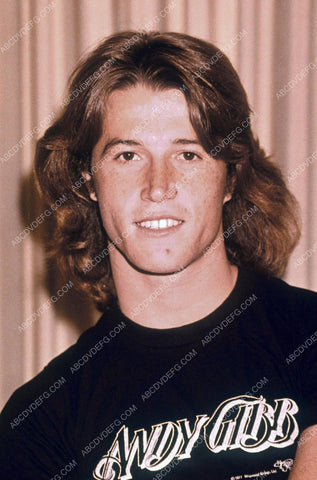 cool Andy Gibb portrait 8b20-14744