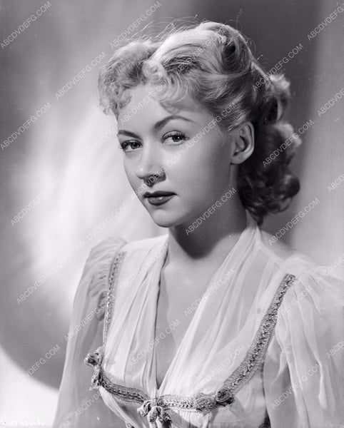 beautiful Gloria Grahame portrait 8b20-15053 – ABCDVDVIDEO