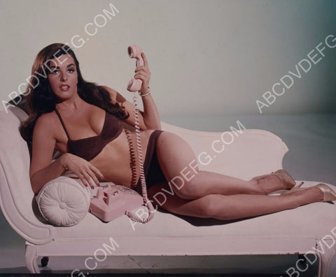 super sexy Edy Williams on chaise lounge and telephone 8b20-15126