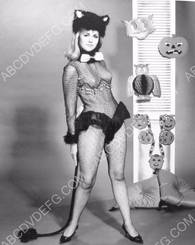 Linda Marshall sexy in cat costume and fishnets 8b20-15183