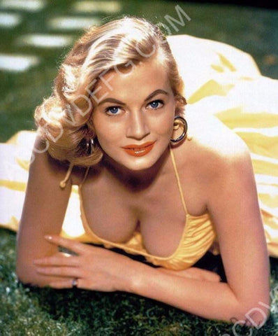 beautiful Anita Ekberg laying in the grass 8b20-15302