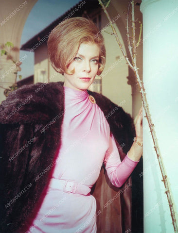 beautiful Barbara Bain portrait 8b20-15566