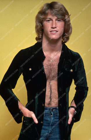 rock star Andy Gibb portrait 8b20-15595