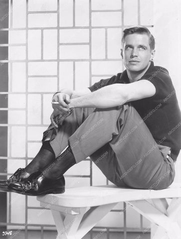 handsome George Peppard portrait 8b20-15684