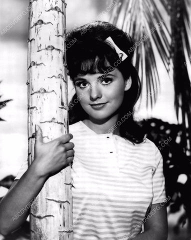 super cute Dawn Wells portrait TV Gilligan's Island dp-1573