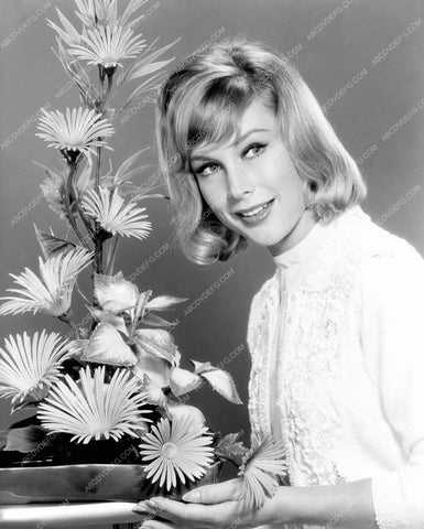 beautiful Barbara Eden and a floral arrangement dp-15928