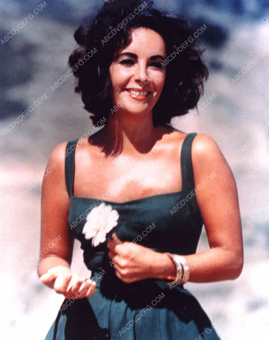 Elizabeth Taylor with a flower 8b20-16329