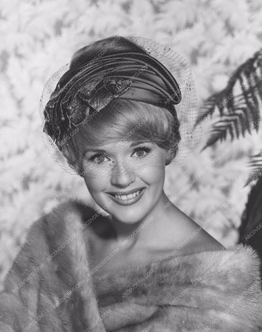 beautiful Connie Stevens portrait 8b20-16829