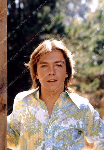 young David Cassidy in the outdoors 8b20-16844
