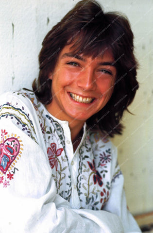 happy David Cassidy portrait 8b20-16845