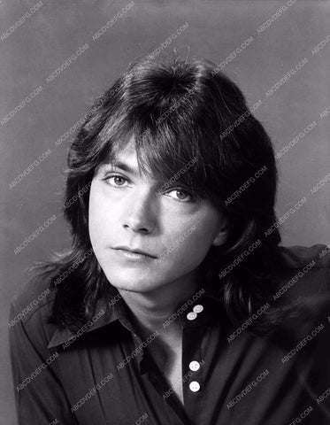 David Cassidy portrait 8b20-16846