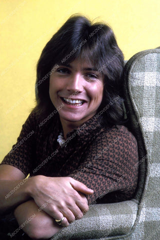 David Cassidy portrait 8b20-16852