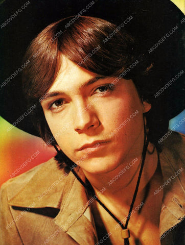 David Cassidy portrait TV The Partridge Family 8b20-16854