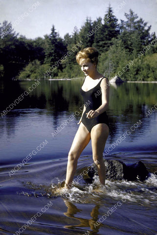 Gina Lollobrigida in swimwear walking through the water 8b20-16920