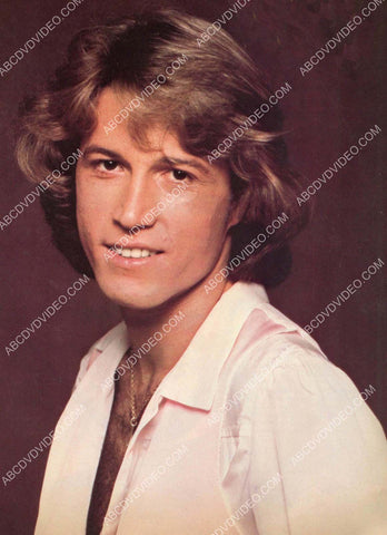 cool Andy Gibb portrait 8b20-17031