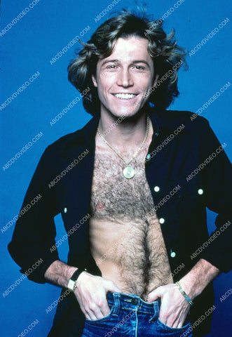 music Andy Gibb portrait 8b20-17035